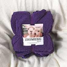 Load image into Gallery viewer, Fleece Blanket Winter Thickened Double Layer Thermal Blanket Winter Leisure Blanket
