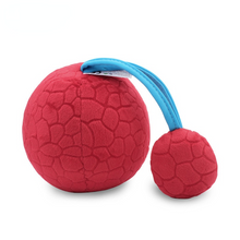 Load image into Gallery viewer, 0-12 Months Baby Toys Hand Ball Baby Vision Stimulation Training Gaze following Ball
