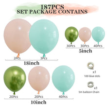 Load image into Gallery viewer, 187pcs Summer Macaron NEELAM Balloon Set Birthday Party Wedding Decoration
