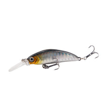 Lade das Bild in den Galerie-Viewer, 2pcs Lure 7cm/5.7G Far Cast Submerged Mino Fresh Water Lure Topmouth Culter
