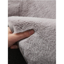 Lade das Bild in den Galerie-Viewer, Imitation Rabbit Fur Thickened and Densely Woven Carpet Living Room Bay Window Bedroom Bedside Blanket
