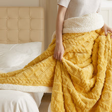 Load image into Gallery viewer, Autumn and Winter Thickening Taffeta Blanket Thermal Blanket Berber Fleece Blanket Flannel Casual Blanket
