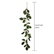 Lade das Bild in den Galerie-Viewer, 183cm Magnolia Leaves Vine Green Artificial Fake Flower Plants Home Decoration Wedding Bouquet
